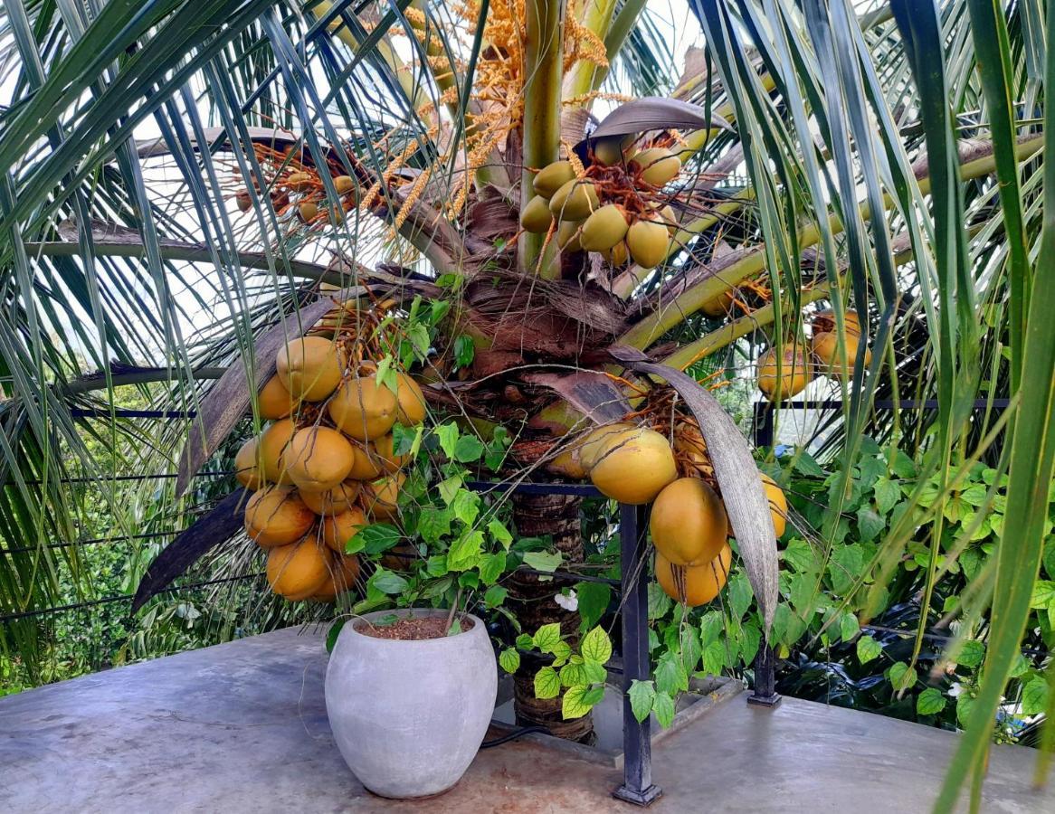 Weligama Bay Watsila Resort ภายนอก รูปภาพ